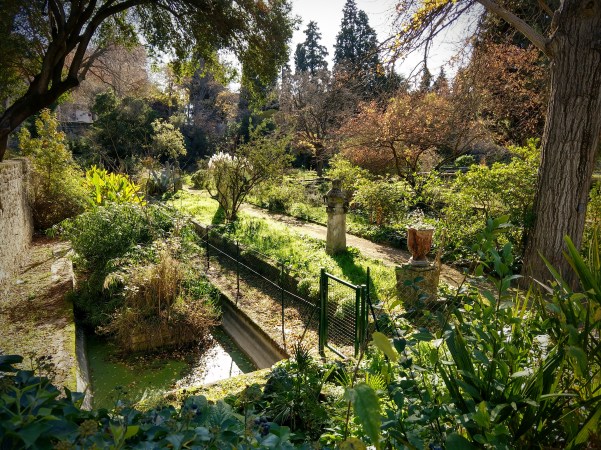 jardin.jpg