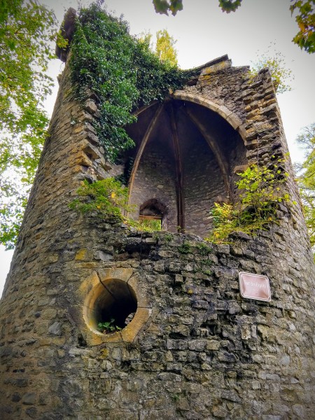 IMG_20191018_132423998_HDR