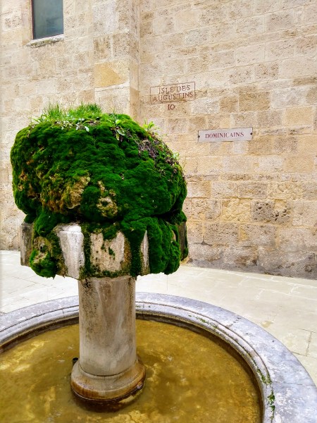 IMG_20191221_153444598_HDR