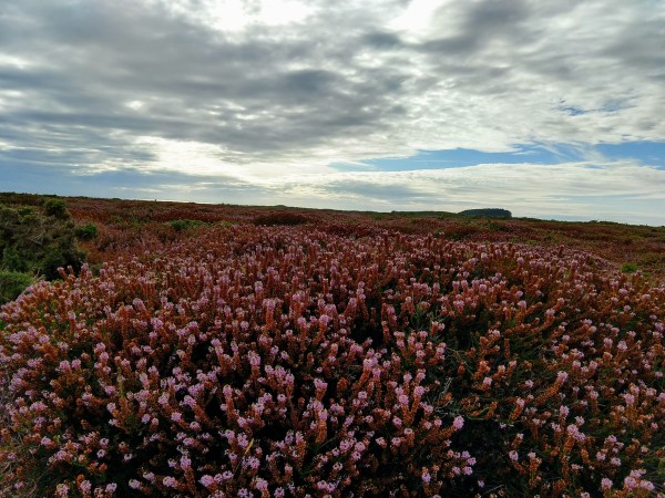 IMG_20200831_182434606_HDR